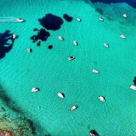 Dimitrios ブアブロウ