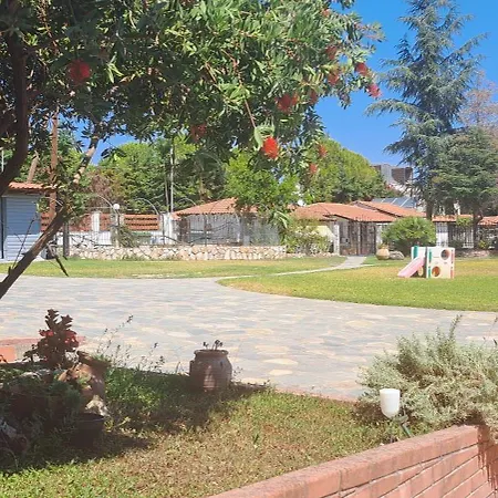 Dimitrios * ブアブロウ