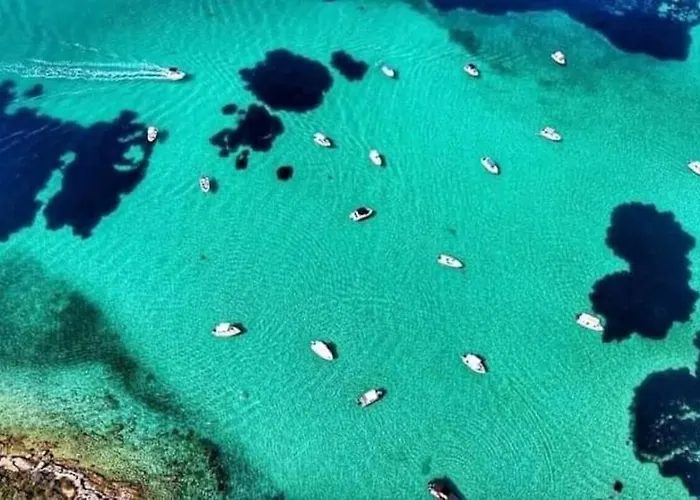 Dimitrios וורוורו