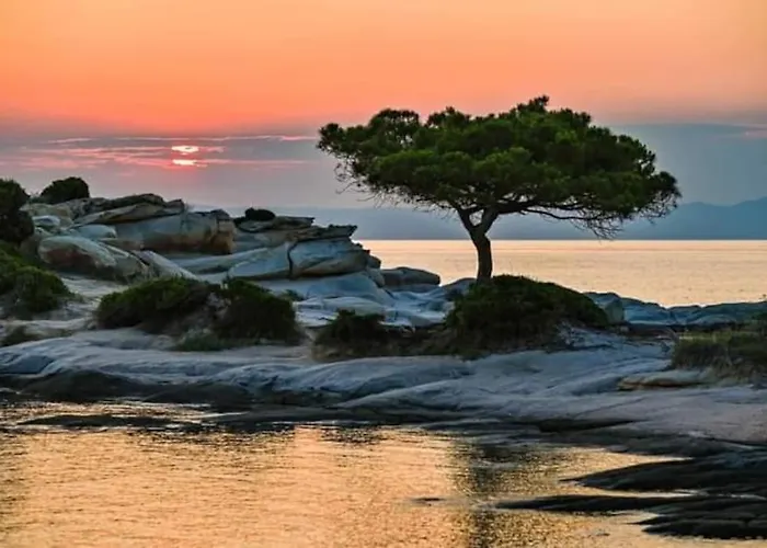 Dimitrios Nyaraló *