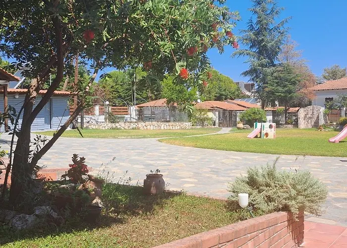 Dimitrios * Vurvurú